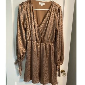 Long sleeve cinched waist leopard dress.